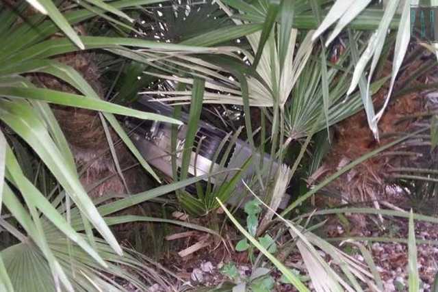 Bari, nei giardini di fronte al Petruzzelli nascosti valigie, borse, cinture e portafogli